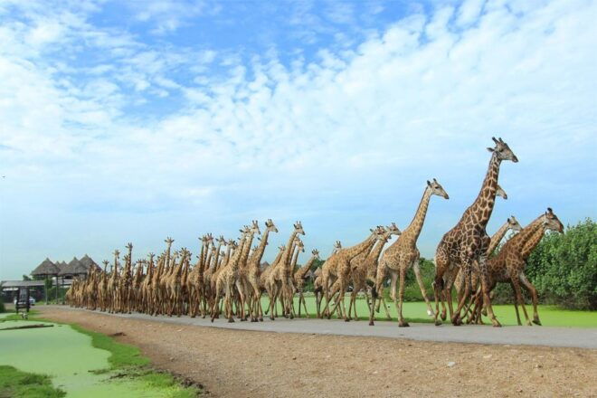 The BEST Bangkok Tours and Things to Do - New Activities in Bangkok