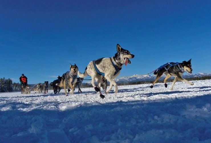 The BEST Bozeman Tours and Things to Do - Gallatin National Forest Trails