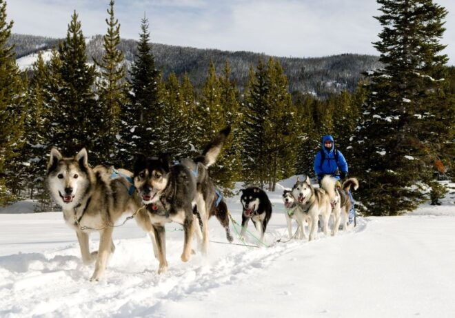 The BEST Bozeman Tours and Things to Do - Language Support and Translation Services