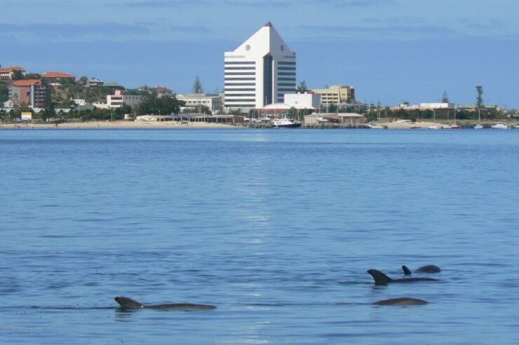 The BEST Bunbury Wheelchair Accessible  - FREE Cancellation - Top-Rated Wheelchair Accessible Activities in Bunbury