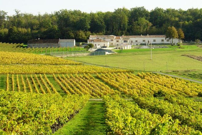 The BEST Cognac Tours and Things to Do in  - FREE Cancellation - Cognac Wine Safari & Royal Castle