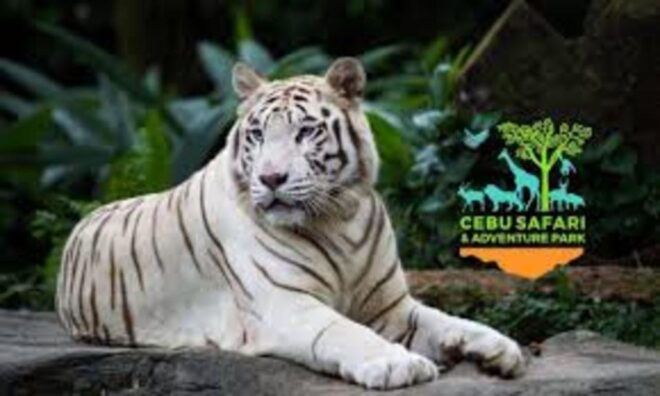 The BEST Danao City Tours and Things to Do - Exciting Outdoor Activities in Danao City