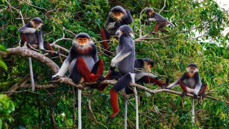 The Best Easy Trek Cuc Phuong National Park - Highlights of the Easy Trek