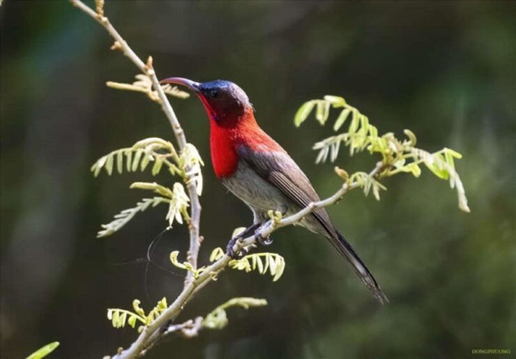The Best Easy Trek Cuc Phuong National Park - Detailed Itinerary for the Trek