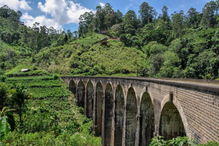 The BEST Ella, Sri Lanka Hiking  - FREE Cancellation - Top Hiking Trails in Ella