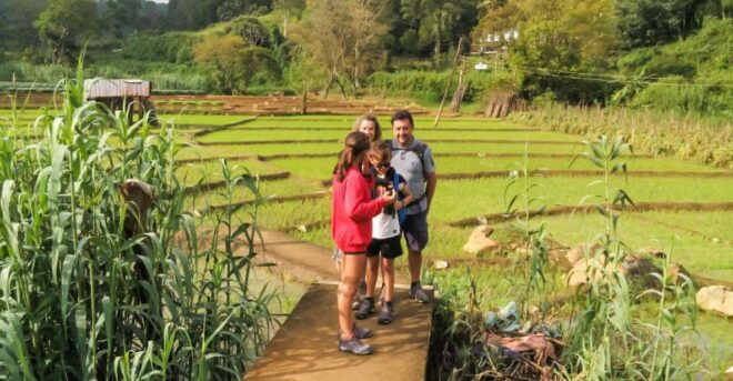 The BEST Ella, Sri Lanka Hiking  - FREE Cancellation - Language Support for Tourists