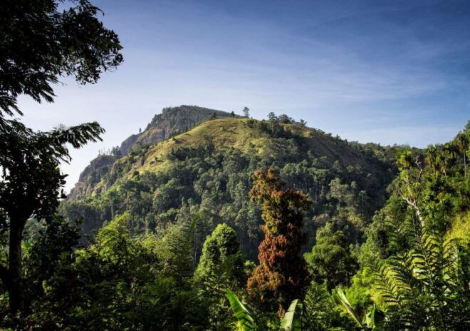 The BEST Ella, Sri Lanka Hiking  - FREE Cancellation - Safety Measures for Hiking in Ella