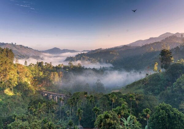 The BEST Ella, Sri Lanka Hiking  - FREE Cancellation - Tips for a Memorable Hiking Experience