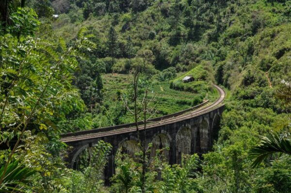 The BEST Ella, Sri Lanka Hiking  - FREE Cancellation - Common Questions