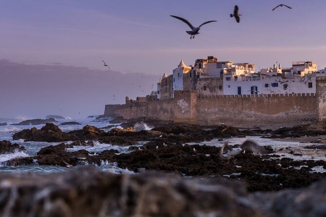 The Best Essaouira Day Trip From Marrakech - Visit the Port and Enjoy Fresh Seafood