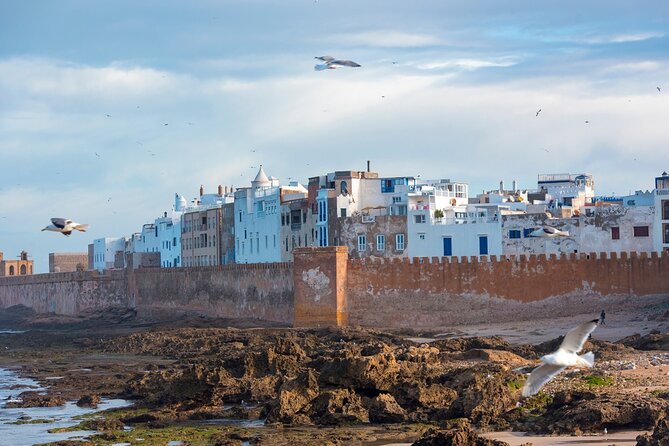 The Best Essaouira Day Trip From Marrakech - Optional Activities in Essaouira