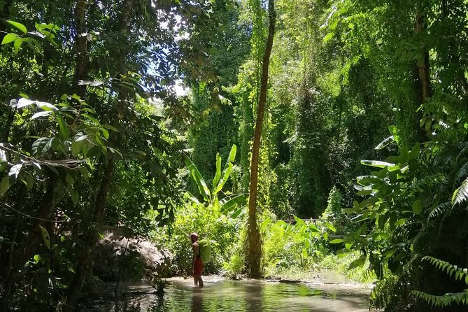 The Best Full Day Tour Of Chiang Mai : A Small Group Tour - Common Questions