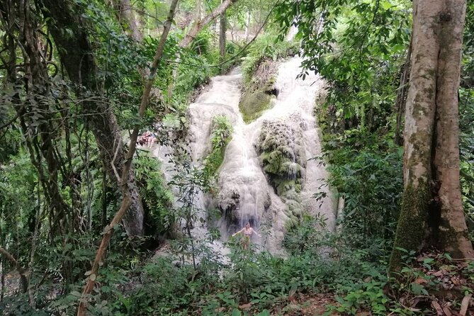 The Best Full Day Tour Of Chiang Mai : A Small Group Tour - The Sum Up