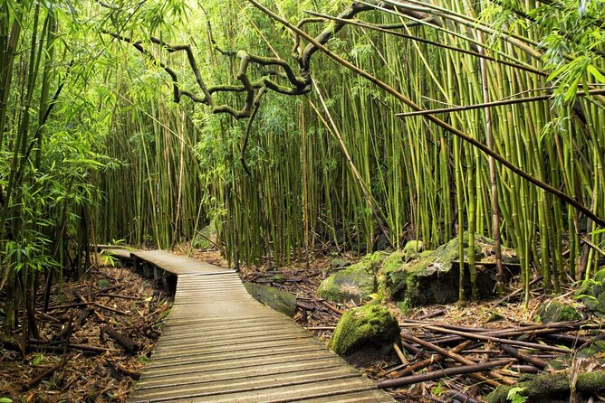 The Best Half Day of Your Life! Luxury Road to Hana Private Tour - Tour Overview