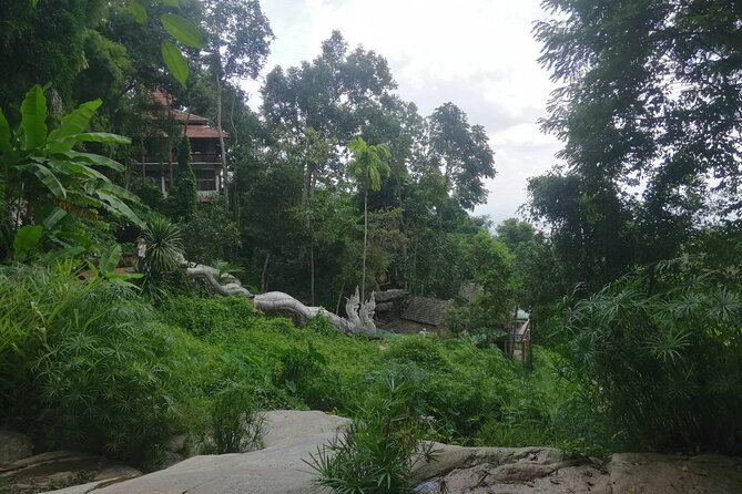 The Best Half Day Tour: Doi Suthep, Hilltribe Village, Wat Umong - Scenic Drive to Doi Suthep Mountain