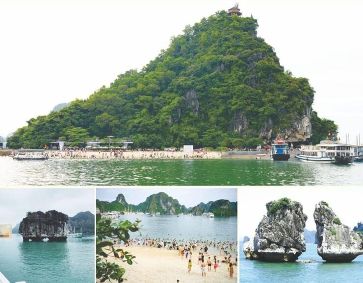 The BEST Halong Bay 5-Star Pamela Day Cruise With Limousine - Included Services and Activities