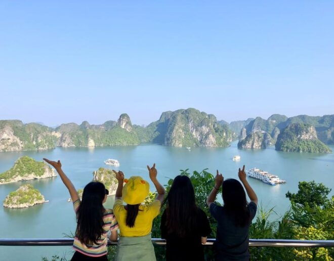 The BEST Halong Bay 5-Star Pamela Day Cruise With Limousine - Important Information and Requirements