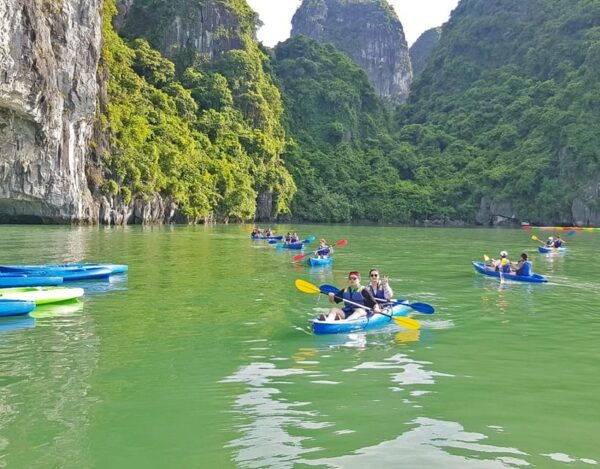 The BEST Halong Bay 5-Star Pamela Day Cruise With Limousine - Tips for a Great Experience