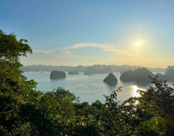 The BEST Halong Bay 5-Star Pamela Day Cruise With Limousine - Frequently Asked Questions