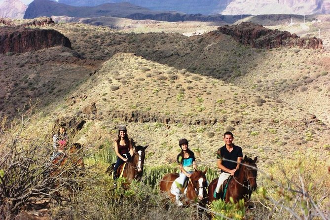The Best Horse Riding Experience in Gran Canaria (2 Hours) - Pricing and Value