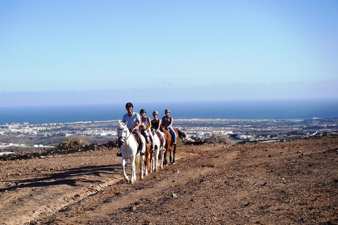 The Best Horse Riding Experience in Gran Canaria (2 Hours) - Booking and Flexibility