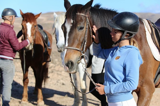 The Best Horse Riding Experience in Gran Canaria (2 Hours) - Traveler Photos and Reviews