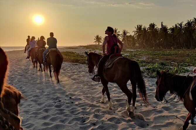 The Best Horseback Riding Trip: Wildlife, Rivers, Beach, Sunset.. - Good To Know