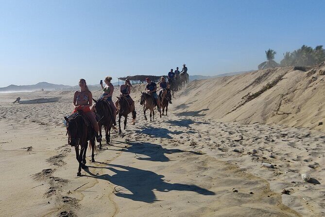 The Best Horseback Riding Trip: Wildlife, Rivers, Beach, Sunset.. - The Sum Up