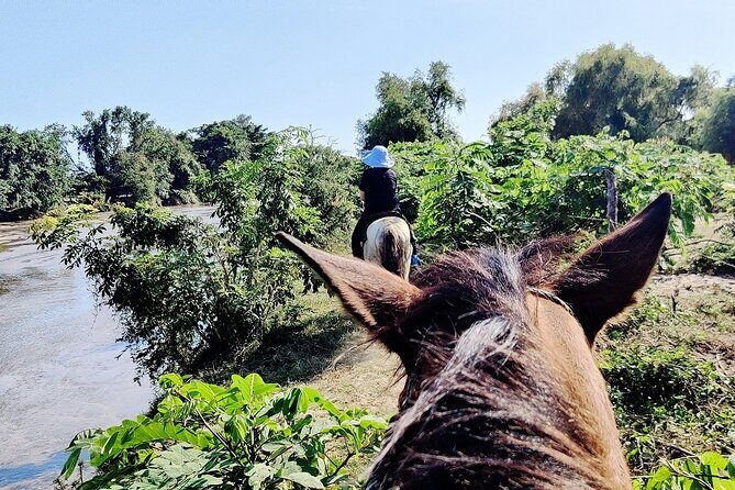The Best Horseback Riding Trip: Wildlife, Rivers, Beach, Sunset.. - FAQs