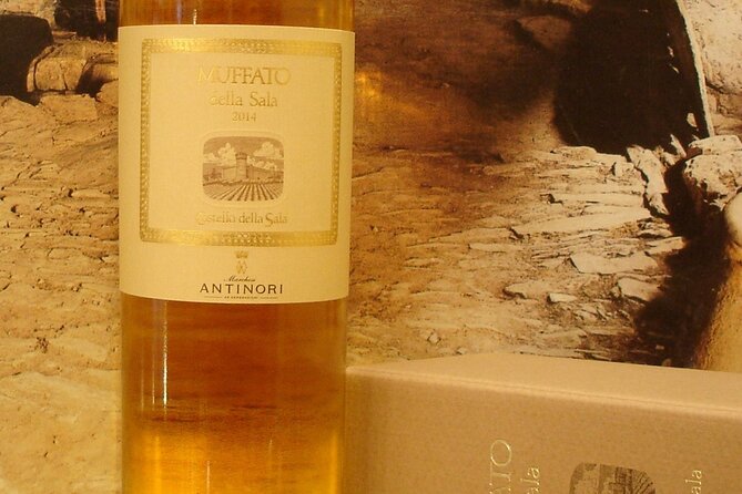 The Best Italian Wines Private Tasting Experience - Cancellation Policy