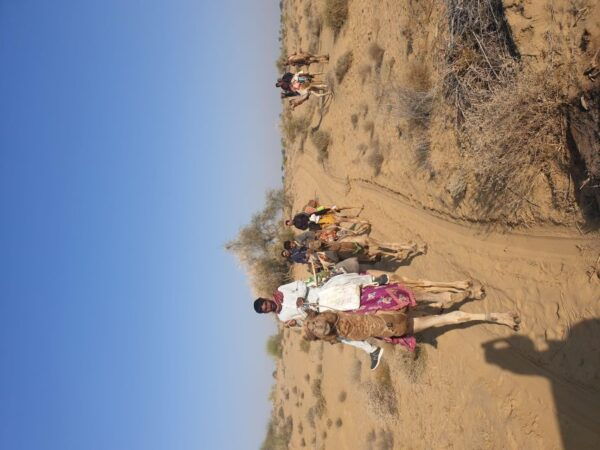 The BEST Jaisalmer Tours and Things to Do - One Day Jaisalmer Tour From Jaisalmer
