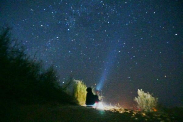 The BEST Jaisalmer Tours and Things to Do - Common Questions