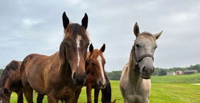 The BEST Kentucky Tours and Things to Do - Louisville Tours and Activities