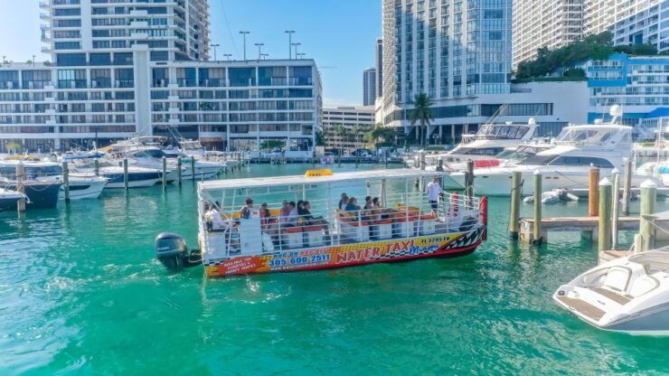 The BEST Miami Cruises & Boat Tours - Miami Bundles