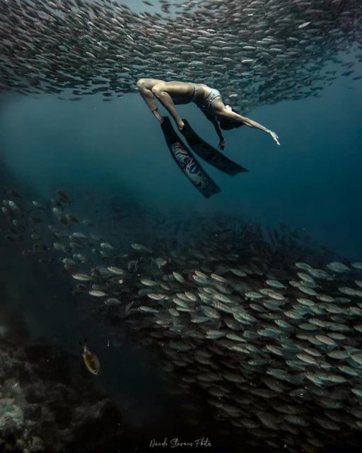 The BEST Moalboal Tours and Things to Do - Unforgettable Canyoneering Experiences
