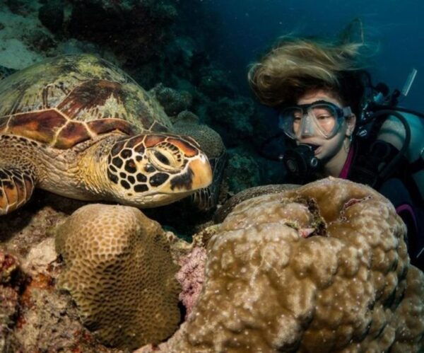 The BEST Moalboal Tours and Things to Do - Common Questions