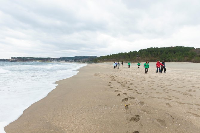 The Best Morning and Michinoku Shiokaze Trail Trekking in the Tanesashi Coast Natural Grassland - Trekking Highlights