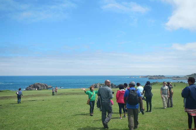 The Best Morning and Michinoku Shiokaze Trail Trekking in the Tanesashi Coast Natural Grassland - Scenic Views and Natural Beauty