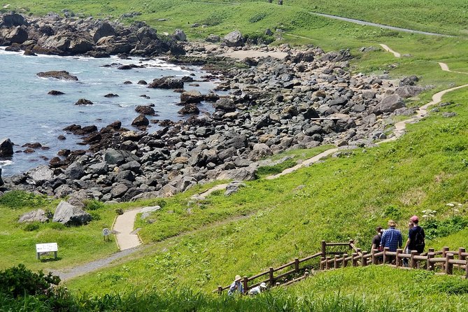 The Best Morning and Michinoku Shiokaze Trail Trekking in the Tanesashi Coast Natural Grassland - Common Questions