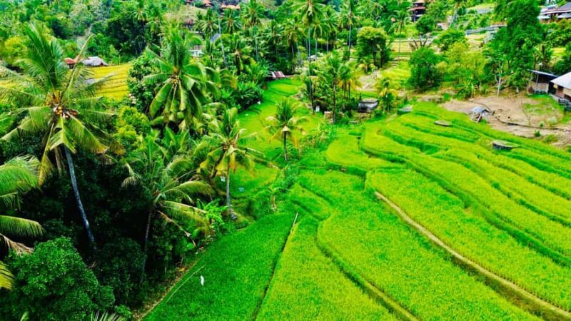 The Best Northern Bali: Waterfalls & Sacred Temple Adventure - FAQ