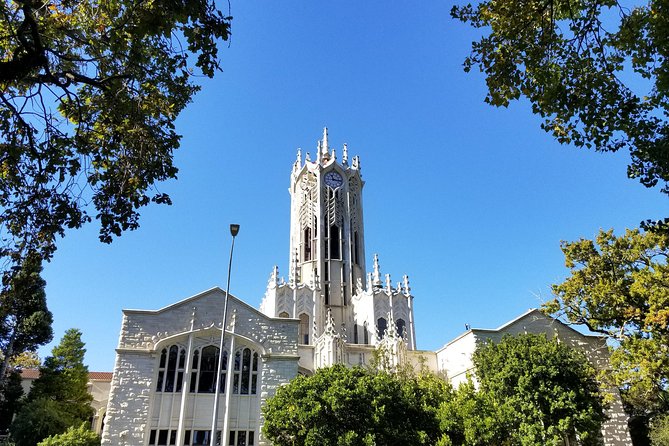 The Best of Auckland City Walking Tour - Auckland City Walking Tour Highlights