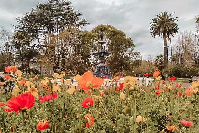 The Best of Auckland Walking Tour - Common Questions