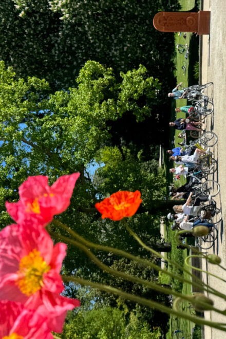 The Best of Bordeaux: E-Bike Tour With Pétanque & Appetizers - Customer Feedback