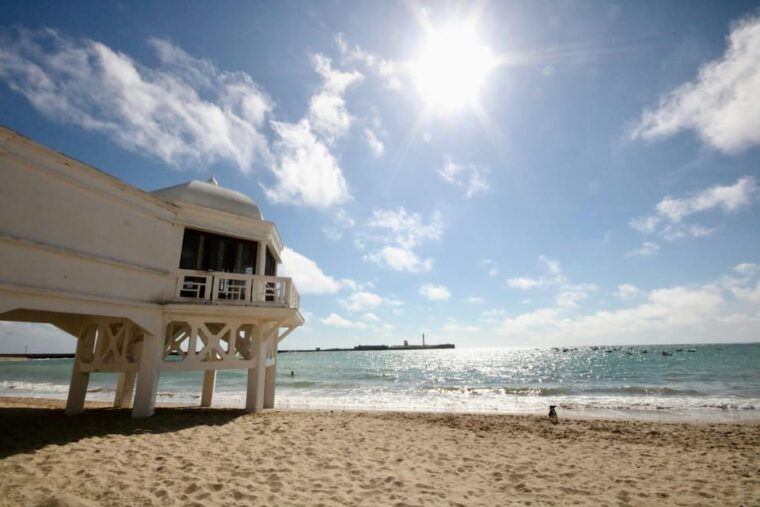 The Best of Cadiz - Private Walking Tour - Personalize Your Walking Tour Experience