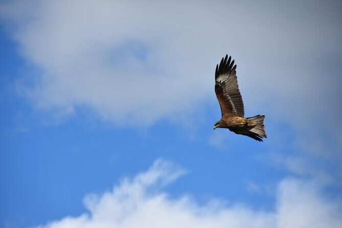 The best of Central Mongolia Guided 3 day Adventure - Authentic Traveler Insights