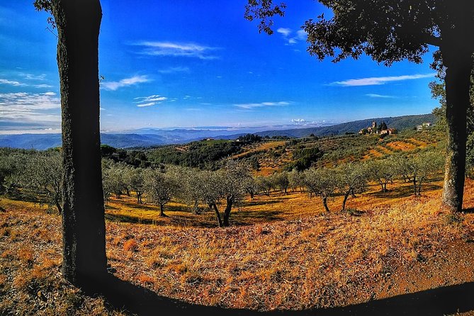 The Best of Chianti Classico E-Bike Tour - Good To Know