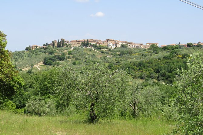 The Best of Chianti Classico Wine Private Tour With Dinner in a Boutique Estate - Charming Medieval Villages Explored