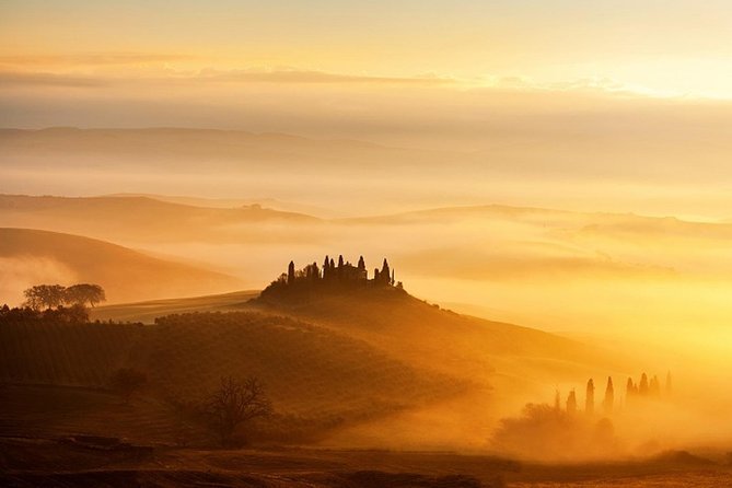 The Best of Chianti Classico Wine Private Tour With Dinner in a Boutique Estate - Private Transport and Amenities