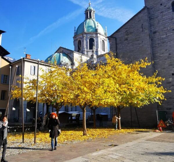 The Best of Como: City Walking Tour and 1-hour Boat Cruise - What to Bring