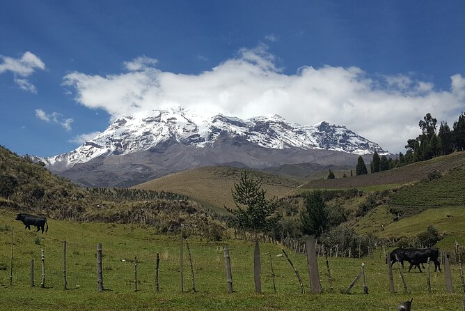 The Best of Ecuador & Galapagos 12 Days / 11 Nights - Day 1: Arrival in Quito